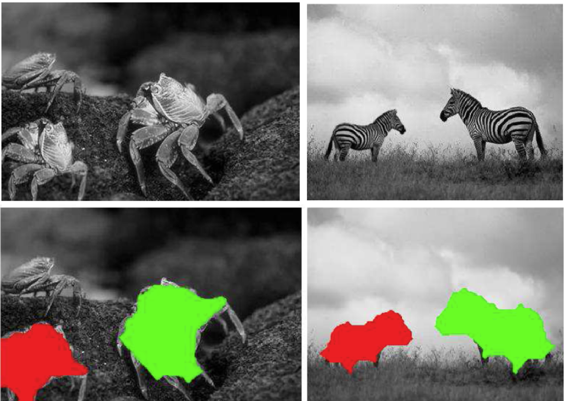 Copy-Move Image Forgery Detection